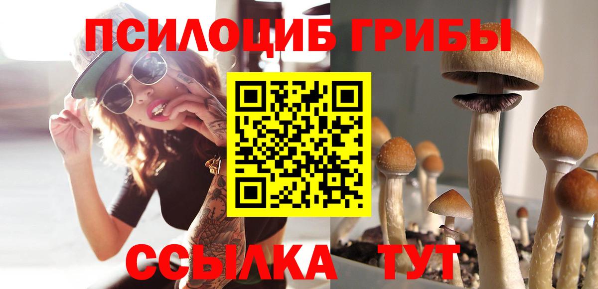 Балтийск  как найти закладки  Галлюциногенные грибы ЛСД  Вход с VPN  Галлюциногенные грибы ЛСД 